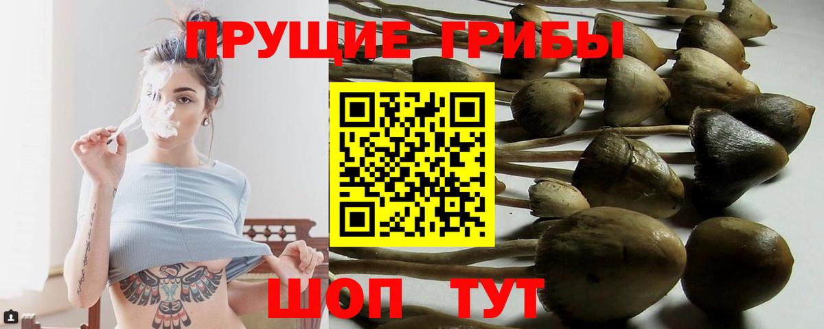 Псилоцибиновые грибы прущие грибы  Вход с VPN  Муром  Галлюциногенные грибы мухоморы 