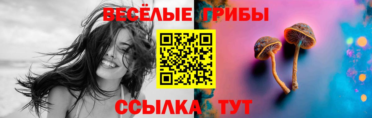 Псилоцибиновые грибы ЛСД Муром